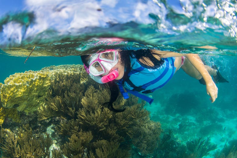 Snorkel en Isla Mujeres