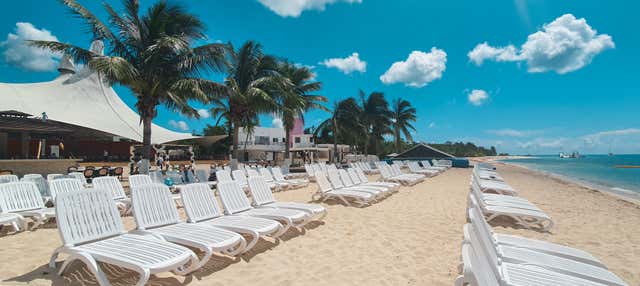 Excursión a una playa privada + Snorkel