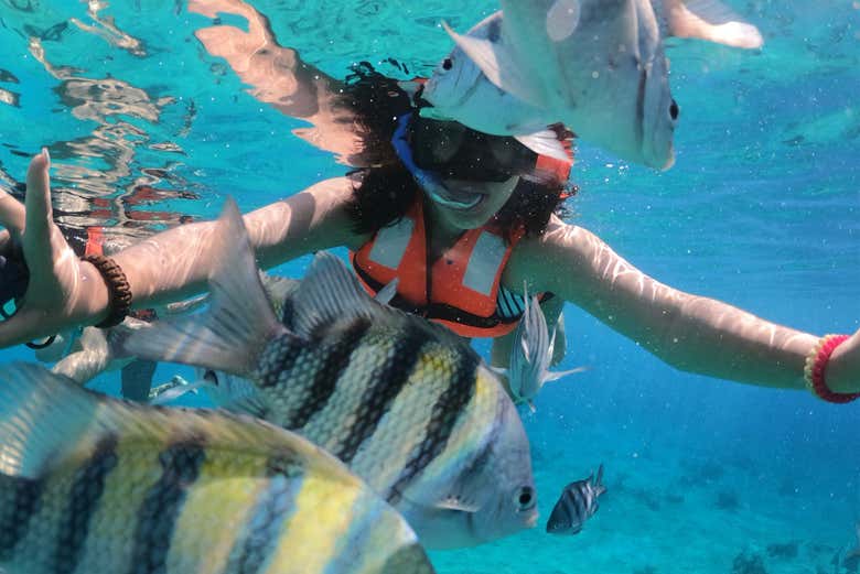 Paseo en barco transparente por Cozumel + Snorkel