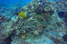 Paseo en catamarán por Cozumel + Snorkel