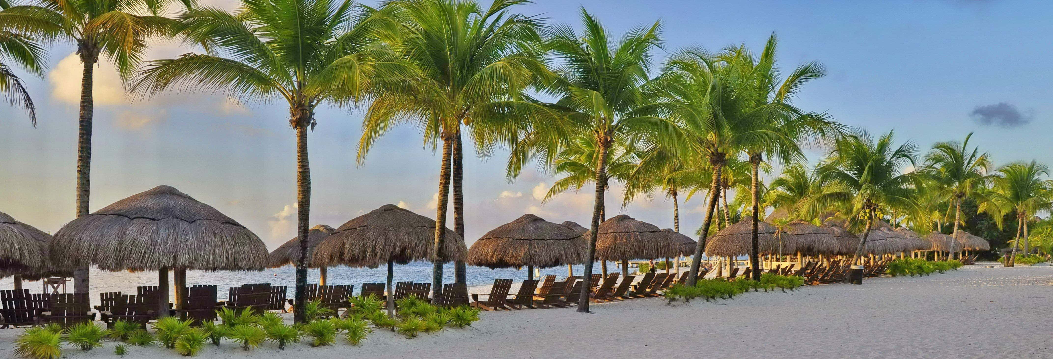 Tour de bares por Cozumel