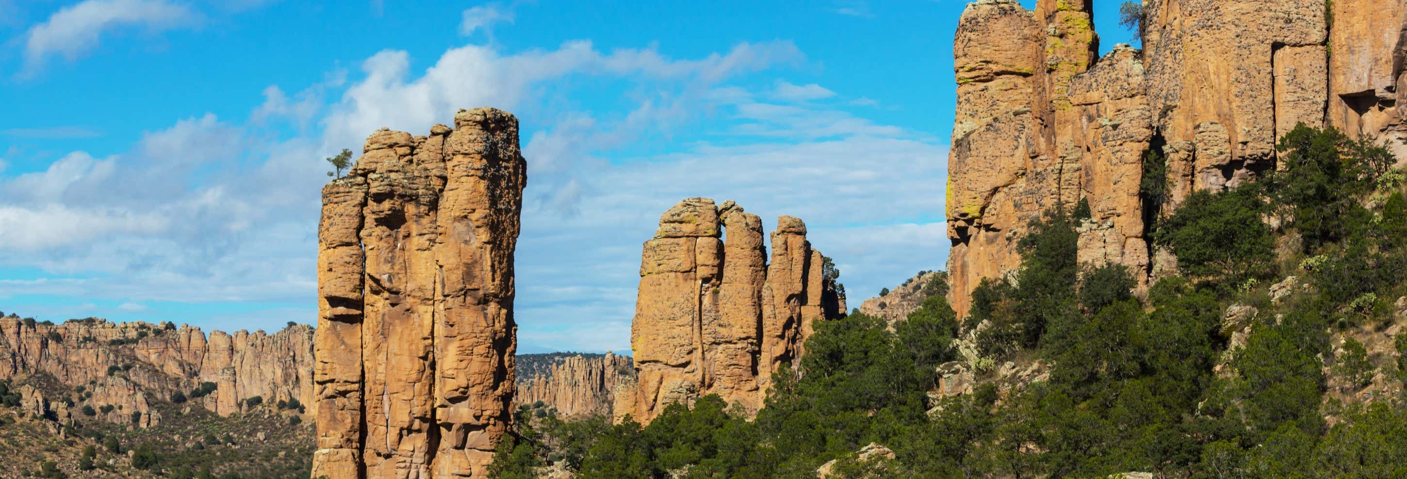 Excursión a la Sierra de Órganos y Nombre de Dios desde Durango