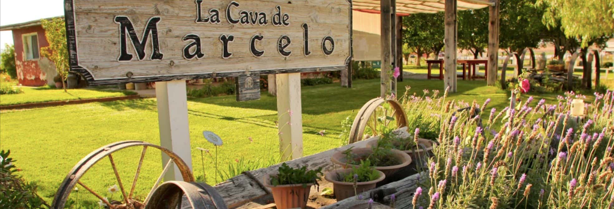 Cata de vino y queso en el Valle de Ojos Negros desde Ensenada