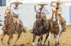 Spectacle de charros mexicains