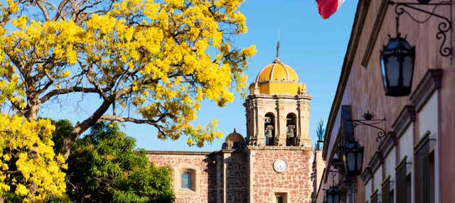 Excursión privada a Tequila