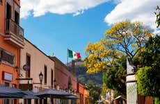Excursión privada a Tequila