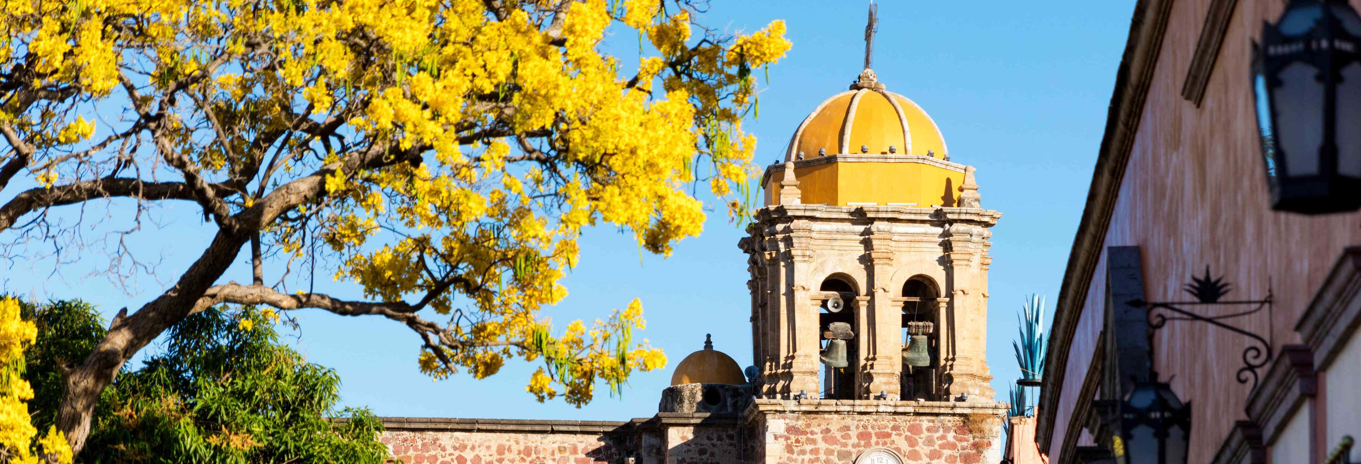 Excursión privada a Tequila desde Guadalajara