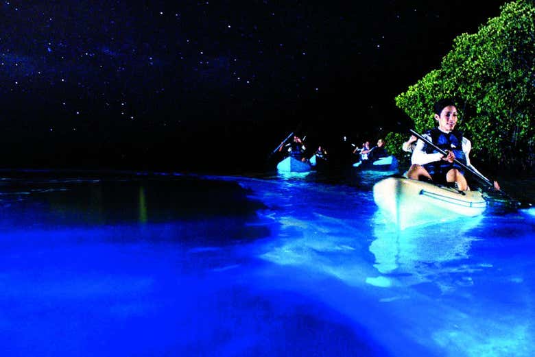 Bioluminescent Plankton Kayak Tour of Holbox - Civitatis.com