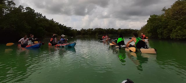 Balade en kayak à Holbox