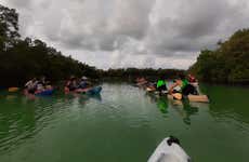 Tour de caiaque por Holbox