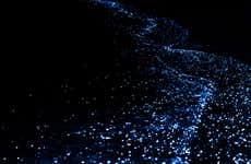 Tour do plâncton luminescente por Punta Cocos