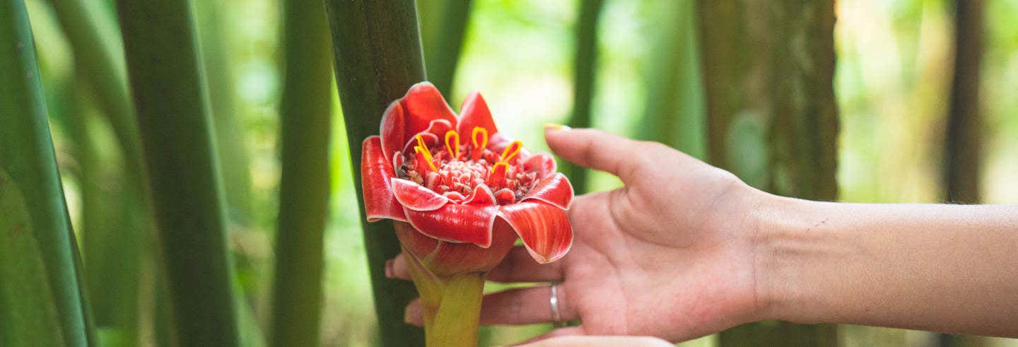 Excursión al Parque Agroecoturístico Hagia Sofia desde Huatulco