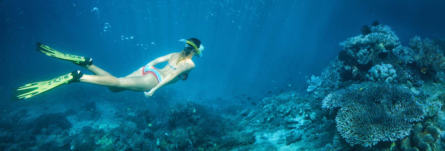 Excursión en snorkel en las bahías de Huatulco