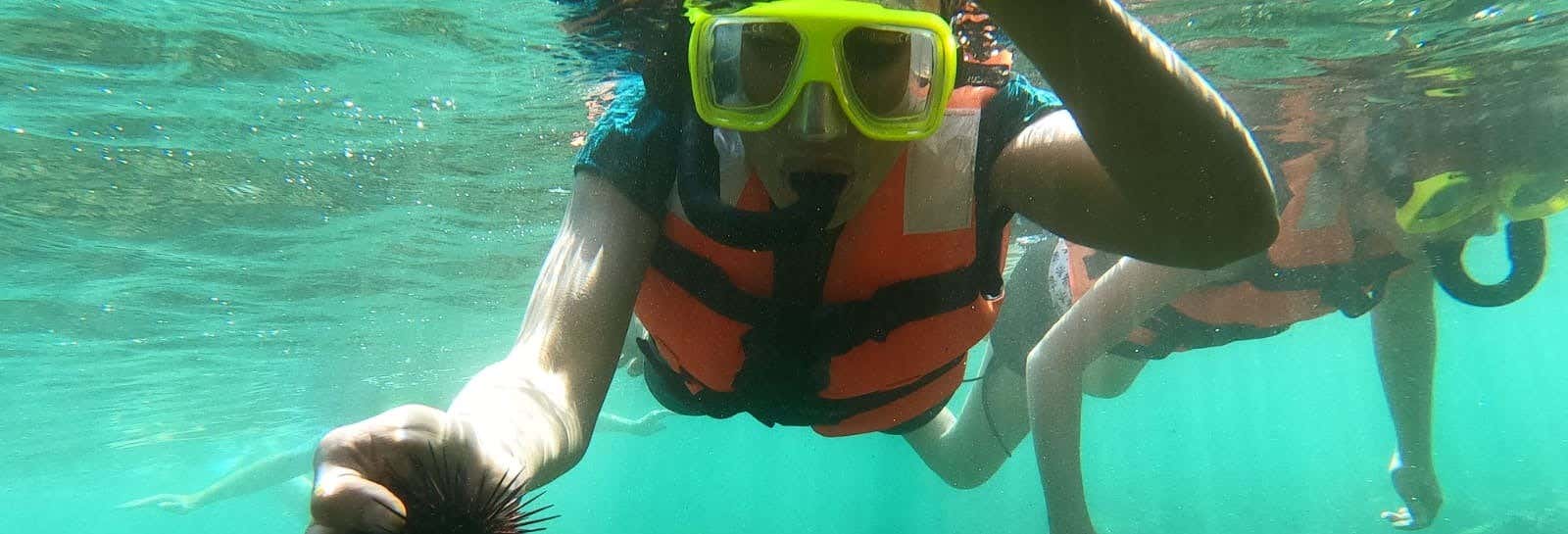 Excursión a la isla Ixtapa y playa Las Gatas + Pesca y snorkel desde Ixtapa Zihuatanejo