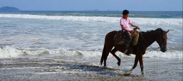 Paseo a caballo por Ixtapa Zihuatanejo