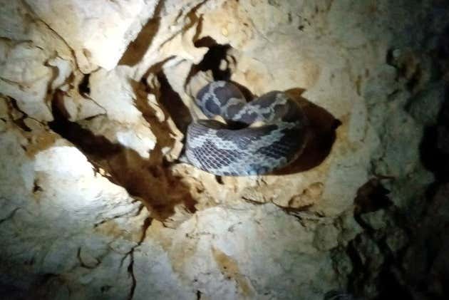 Tour por la cueva de las Serpientes Colgantes, Kantemó
