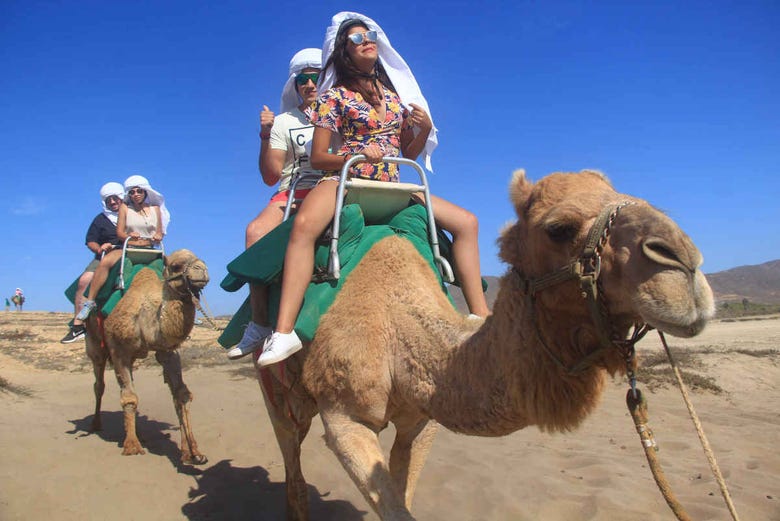 Passeio de camelo pelo deserto de Los Cabos