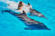 Nado con delfines en Los Cabos