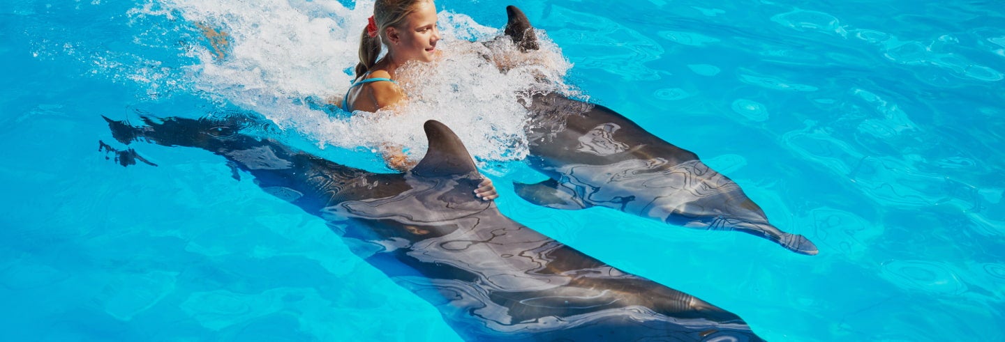 Nado con delfines en Los Cabos