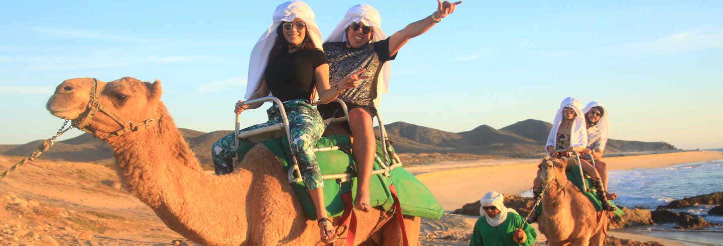 Excursión en camello por el desierto de Los Cabos