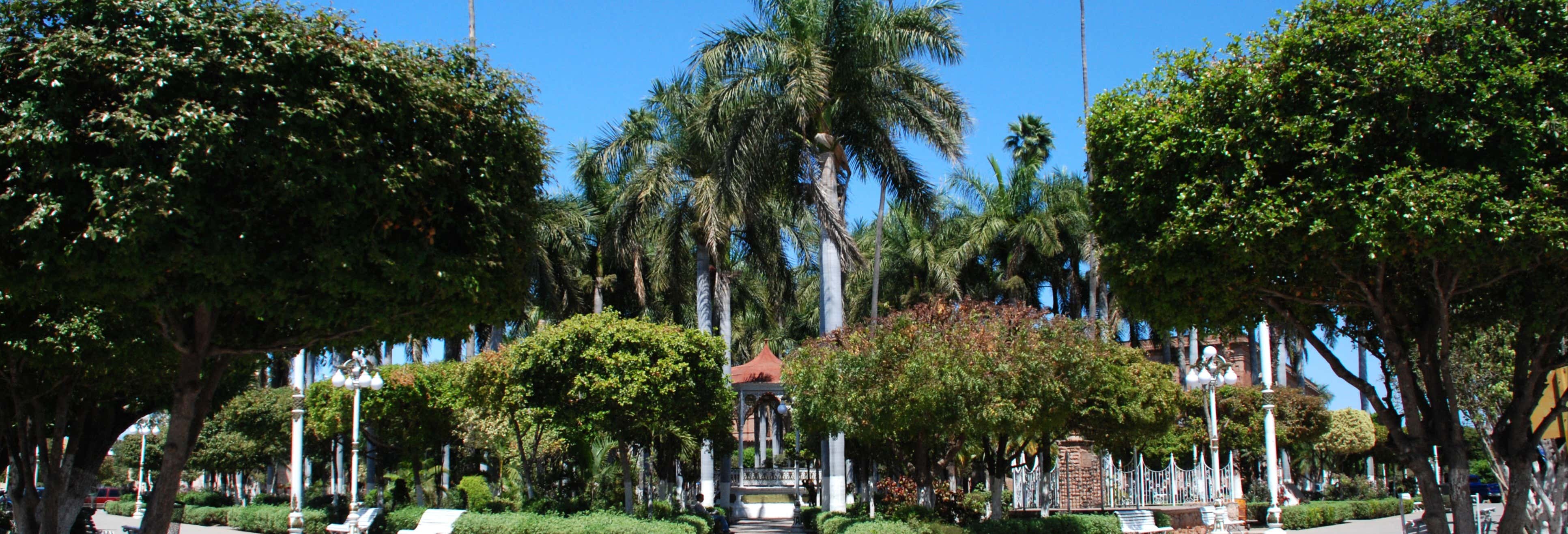 Tour por Los Mochis + Paseo en lancha por la bahía de Topolobampo