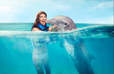 Swimming with Dolphins in Costa Maya