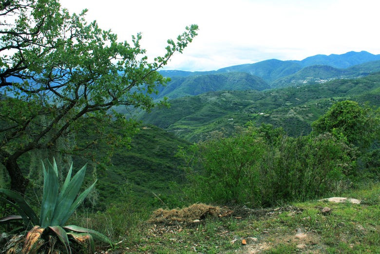 Sierra Norte de Oaxaca