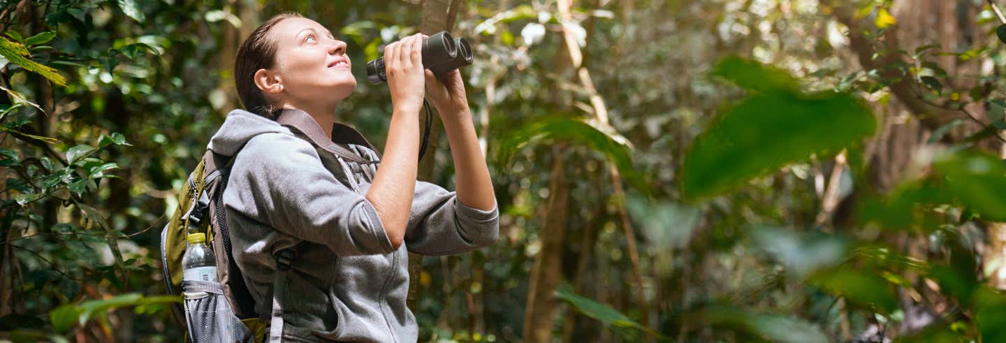 Avistamiento de aves en Reserva Nativa desde Riviera Maya