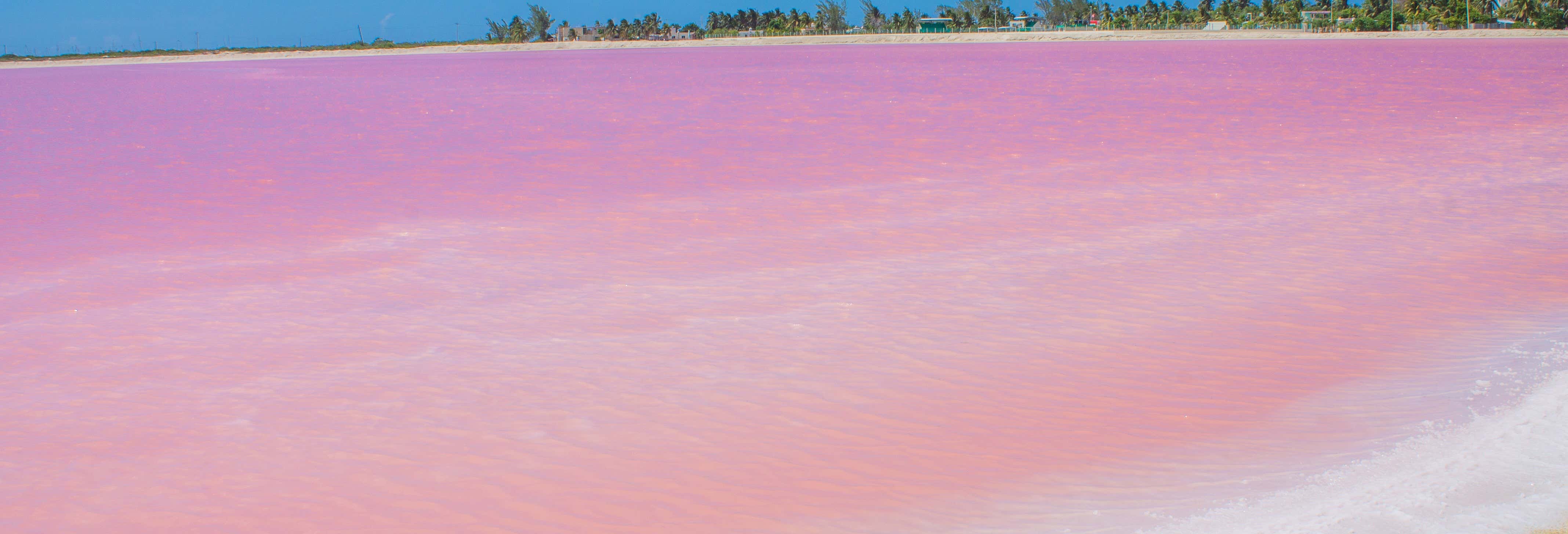 Excursión a Las Coloradas desde Riviera Maya