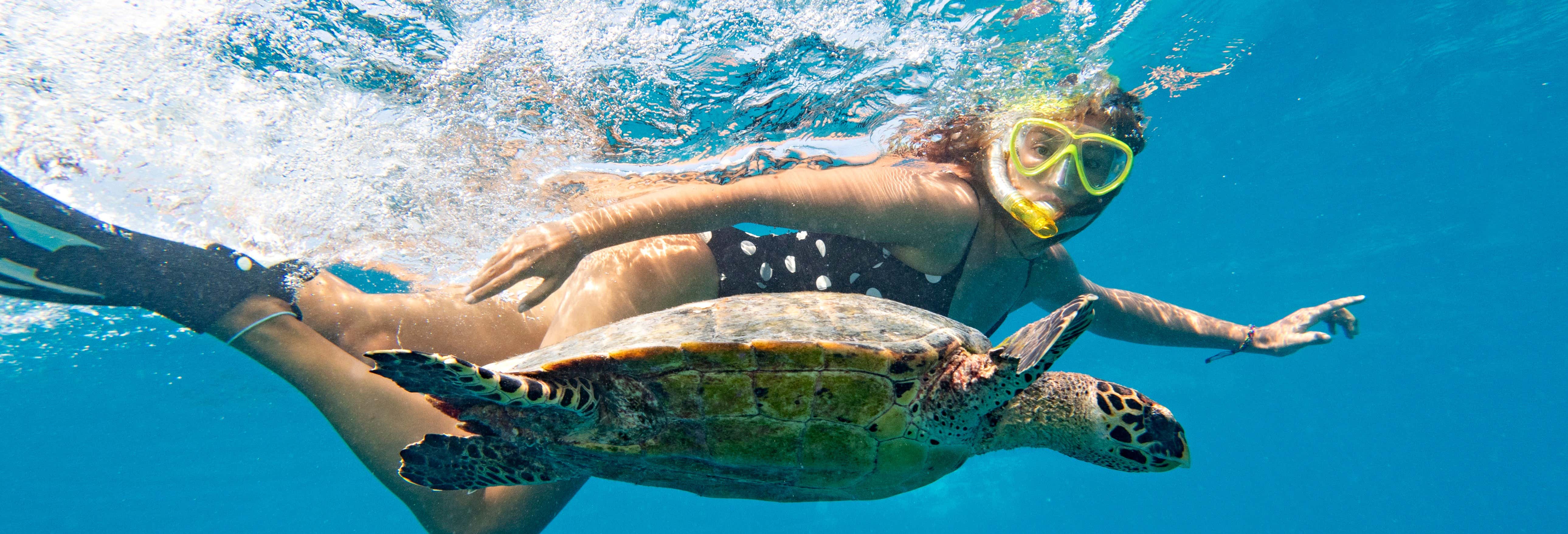 Nado con tortugas en la bahía de Akumal desde Riviera Maya
