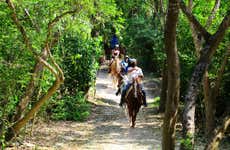 Passeggiata a cavallo al Rancho Bonanza