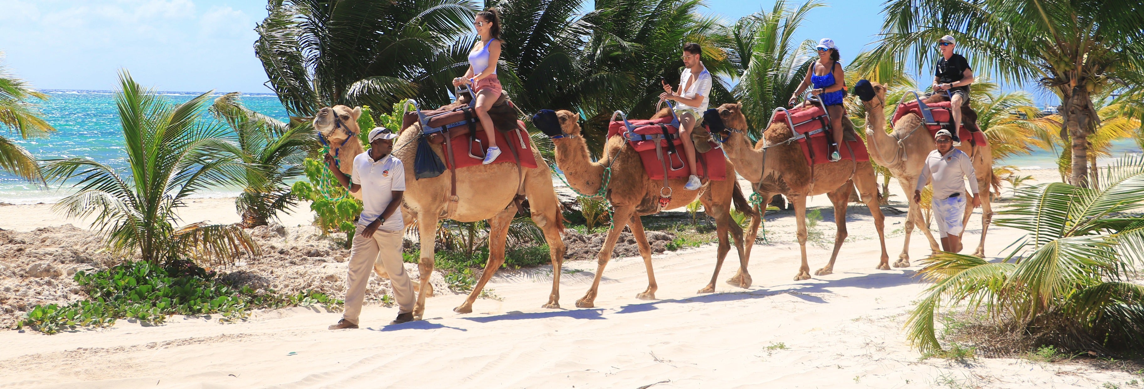 Paseo en camello por Riviera Maya