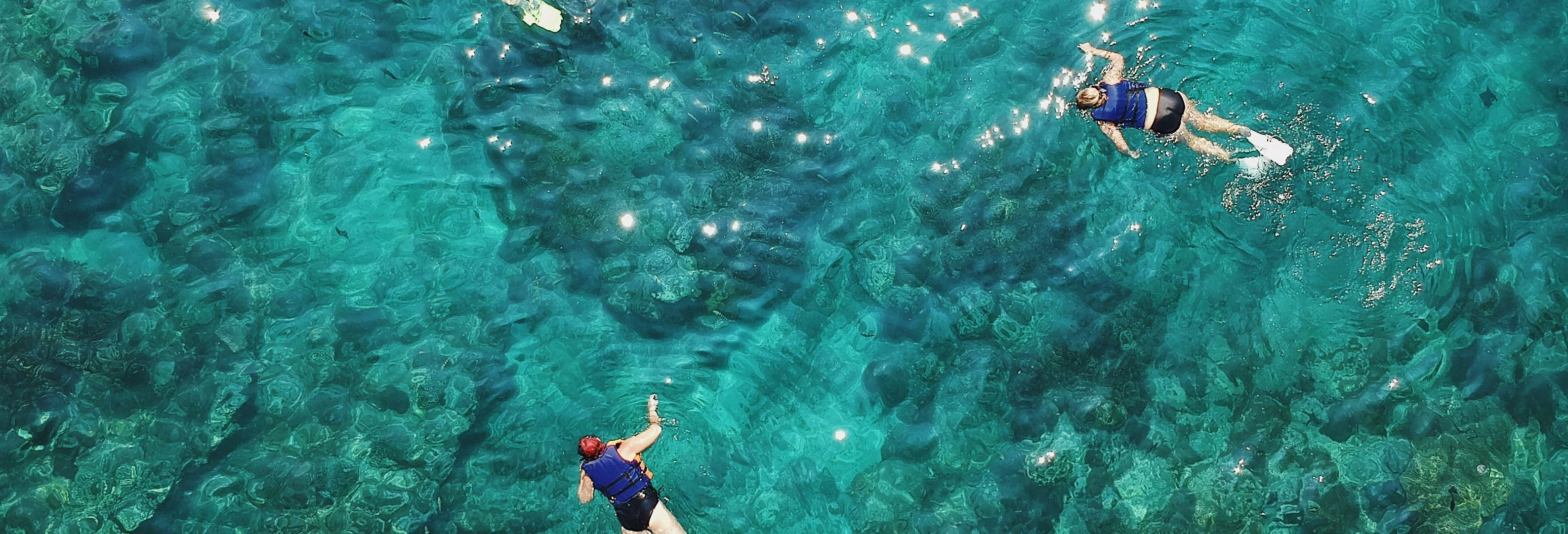 Snorkel en Puerto Morelos