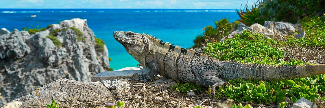 Destinos en Riviera Maya
