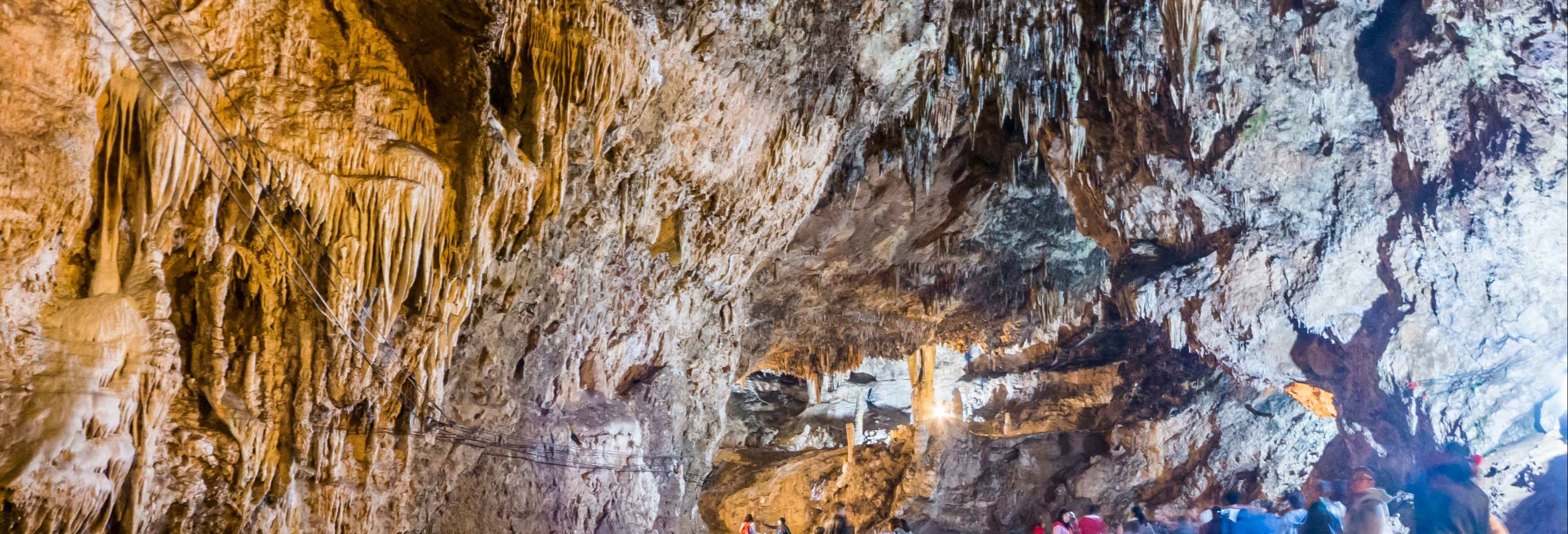 Excursión al Parque Ecoturístico Rancho Nuevo y El Arcotete desde San Cristóbal de las Casas