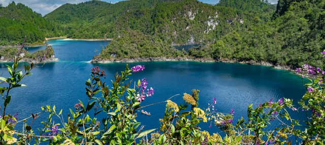 Excursión privada desde San Cristóbal de las Casas