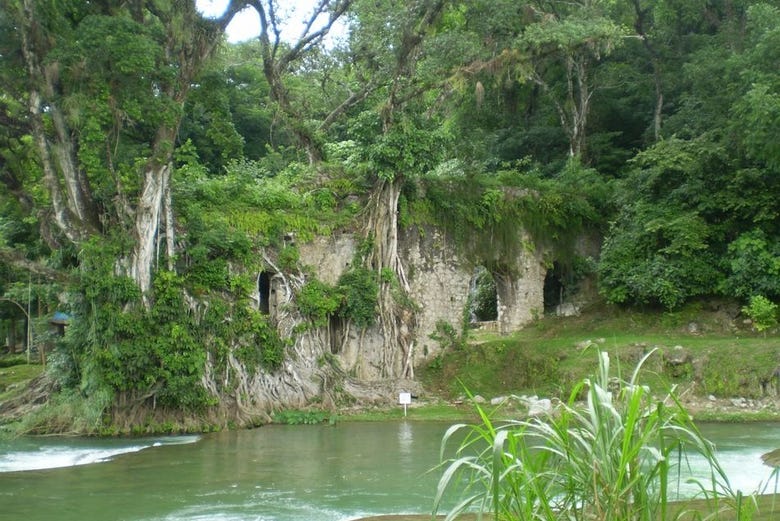 Excursión A Tamasopo Y Puente De Dios Desde San Luis Potosí 7787