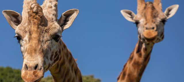 Excursión al Bioparque Estrella