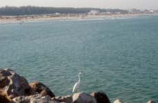 Tour por Tampico y playa Miramar