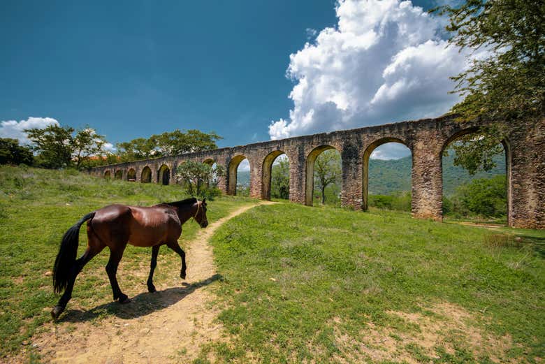 Excursión a la Ex Hacienda San Juan Bautista, Taxco