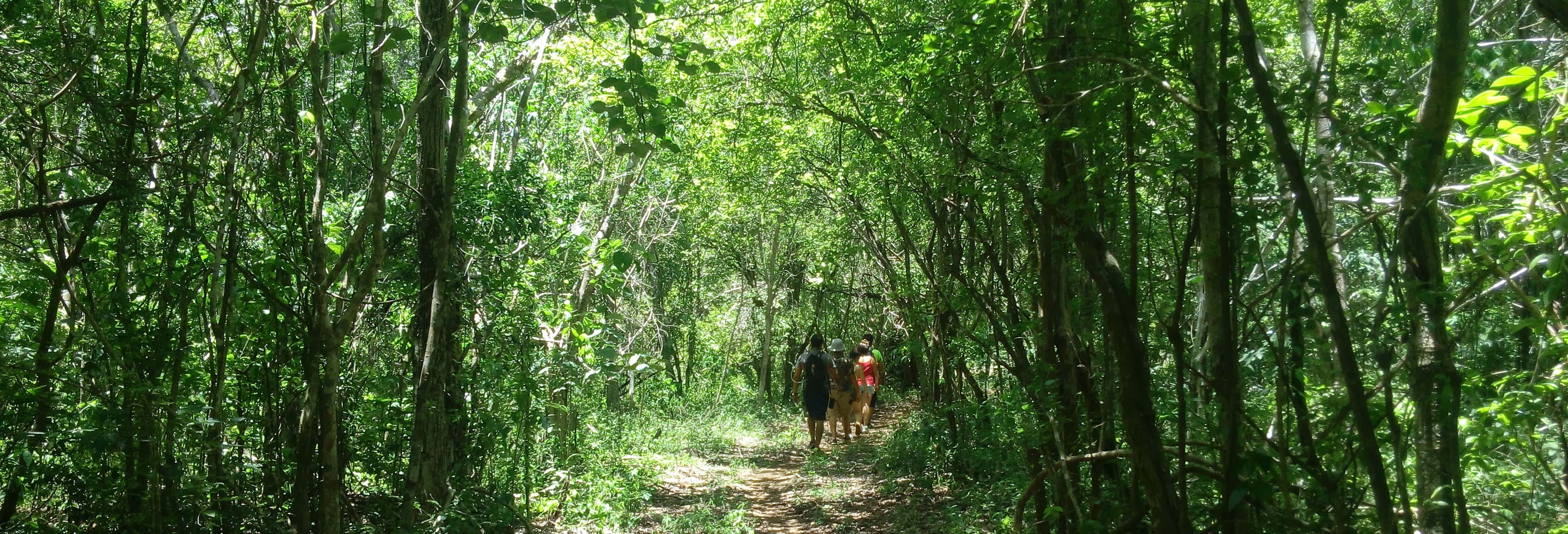 Excursión por el Parque Natural Oxwatz desde Tekal de Venegas