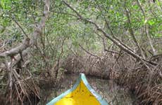 Excursión a Mandinga + Paseo en lancha