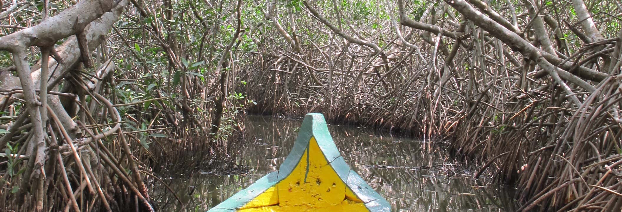 Excursión a Mandinga + Paseo en lancha desde Veracruz
