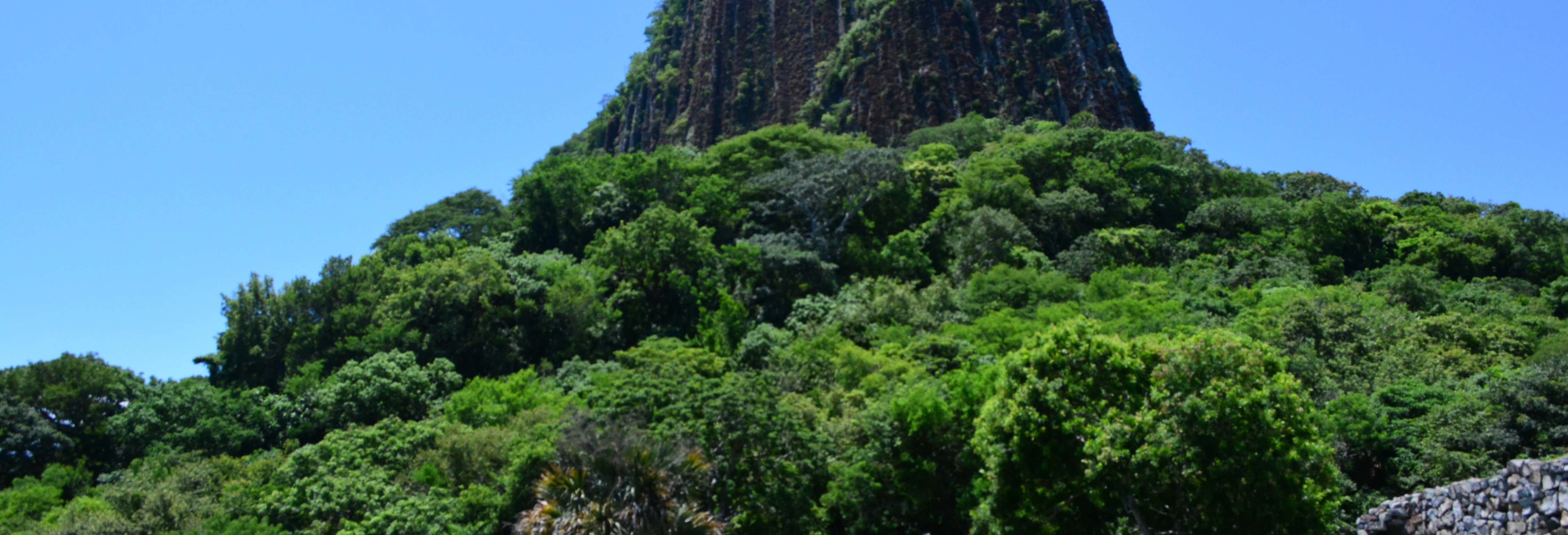 Excursión a Quiahuiztlán, Cempoala y La Antigua desde Veracruz