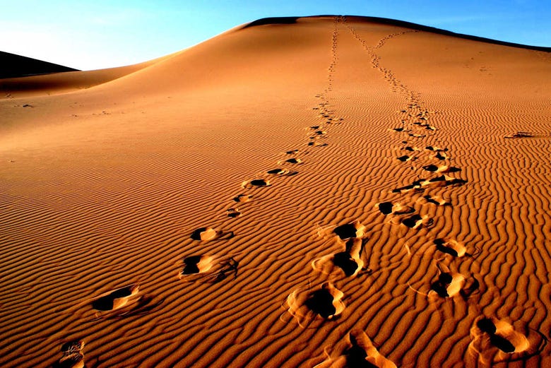 Pegadas nas dunas de areia