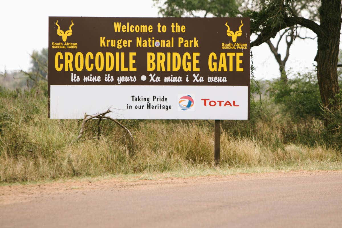 Kruger National Park Safari from Maputo - Book at Civitatis.com