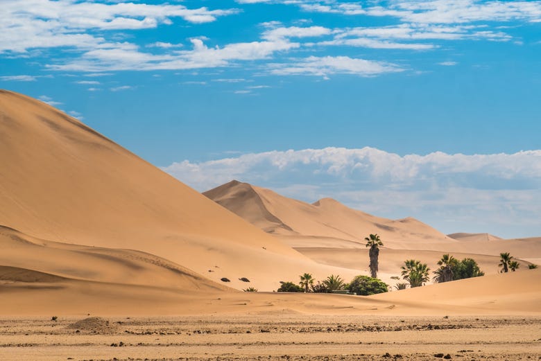 El desierto de Namib tiene las dunas más altas del mundo