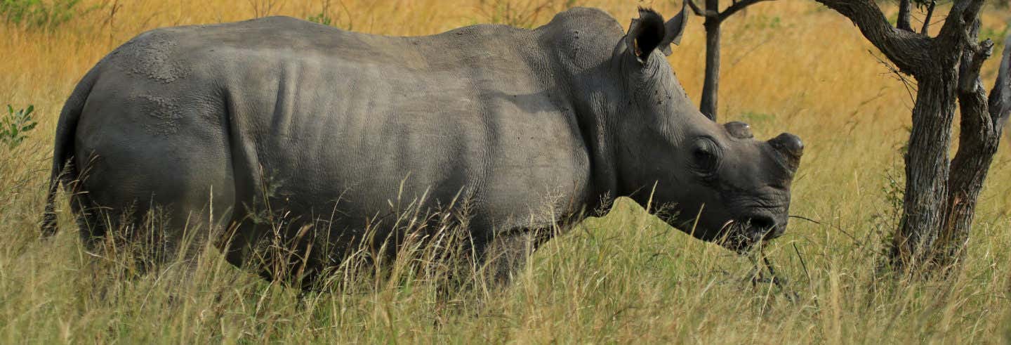 Safari de 14 días desde Namibia a Sudáfrica