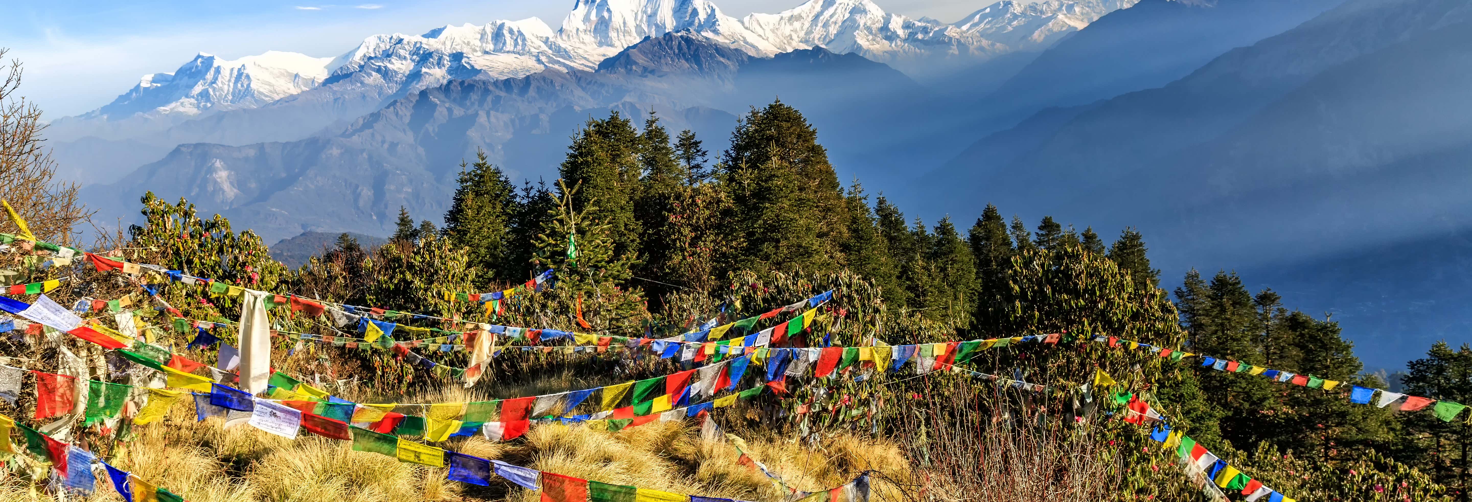 Ruta privada de trekking por Ghorepani y Poon Hill en 10 días