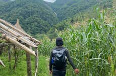 Phewa Lake Boat Trip & Peace Pagoda Hike